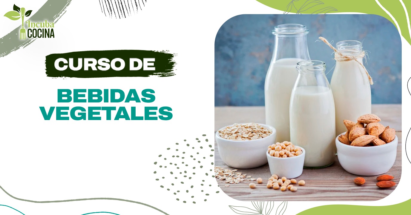 Bebidas Vegetales (Leches Vegetales)